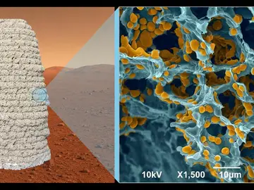 Imagen microscópica del material Imagen microscópica del material