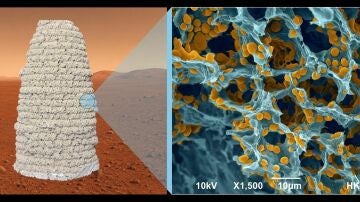 Imagen microsc&oacute;pica del material