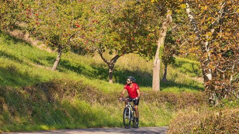 Paseo en bici por la comarca de la sidra, en Asturias