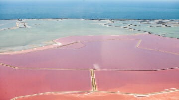 Salinas en la Camarga