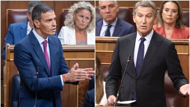 Pedro S&aacute;nchez y Alberto N&uacute;&ntilde;ez Feij&oacute;o en el Congreso