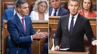 Pedro S&aacute;nchez y Alberto N&uacute;&ntilde;ez Feij&oacute;o en el Congreso