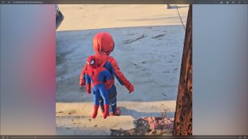 SPIDERMAN