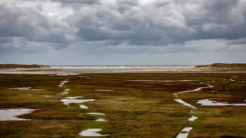 Isla de Texel Isla de Texel