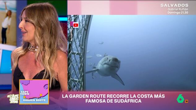 Marina Comes nos lleva hasta Sud&aacute;frica, un pa&iacute;s de planes incre&iacute;bles que se resumen en los m&aacute;s de 200 kil&oacute;metros de la 'Garden Route', donde convergen avistamientos de ballenas, gastronom&iacute;a y buceo junto a tiburones blancos.