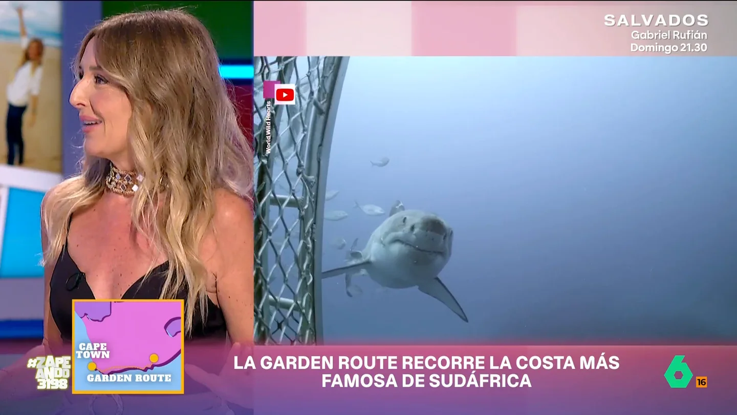 Ballenas, tiburones blancos y marisco: Marina Comes recorre la impresionante 'Garden Route' de Sudáfrica Marina Comes nos lleva hasta Sudáfrica, un país de planes increíbles que se resumen en los más de 200 kilómetros de la 'Garden Route', donde convergen avistamientos de ballenas, gastronomía y buceo junto a tiburones blancos.