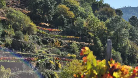Ribeira Sacra Ribeira Sacra