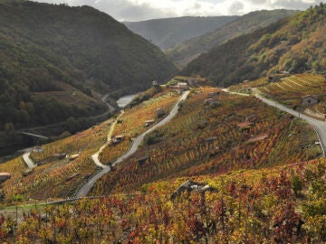 Ribeira Sacra