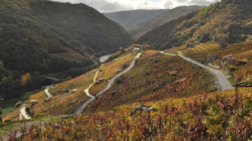 Ribeira Sacra