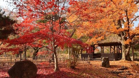 Paisaje de otoño en Nagano, Japón