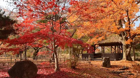 Paisaje de otoño en Nagano, Japón Paisaje de otoño en Nagano, Japón