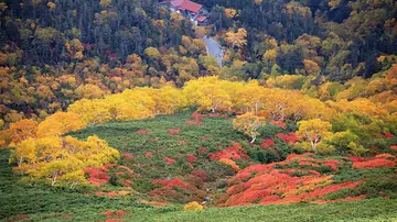Paisaje de otoño en Nagano Paisaje de otoño en Nagano