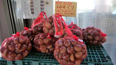 Castañas en Obuse, Japón