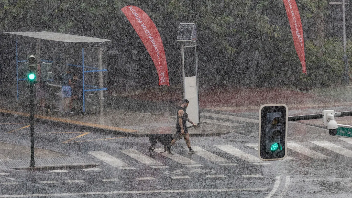 Un hombre pasea a su perro bajo la intensa luvia que ha caido este viernes en la Plaza de la Cruz Roja de Murcia Un hombre pasea a su perro bajo la intensa luvia que ha caido este viernes en la Plaza de la Cruz Roja de Murcia