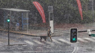 Un hombre pasea a su perro bajo la intensa luvia que ha caido este viernes en la Plaza de la Cruz Roja de Murcia