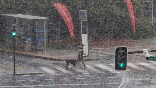 Un hombre pasea a su perro bajo la intensa luvia que ha caido este viernes en la Plaza de la Cruz Roja de Murcia