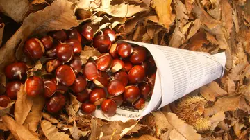 Cucurucho de castañas Cucurucho de castañas