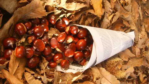 Cucurucho de castañas Cucurucho de castañas