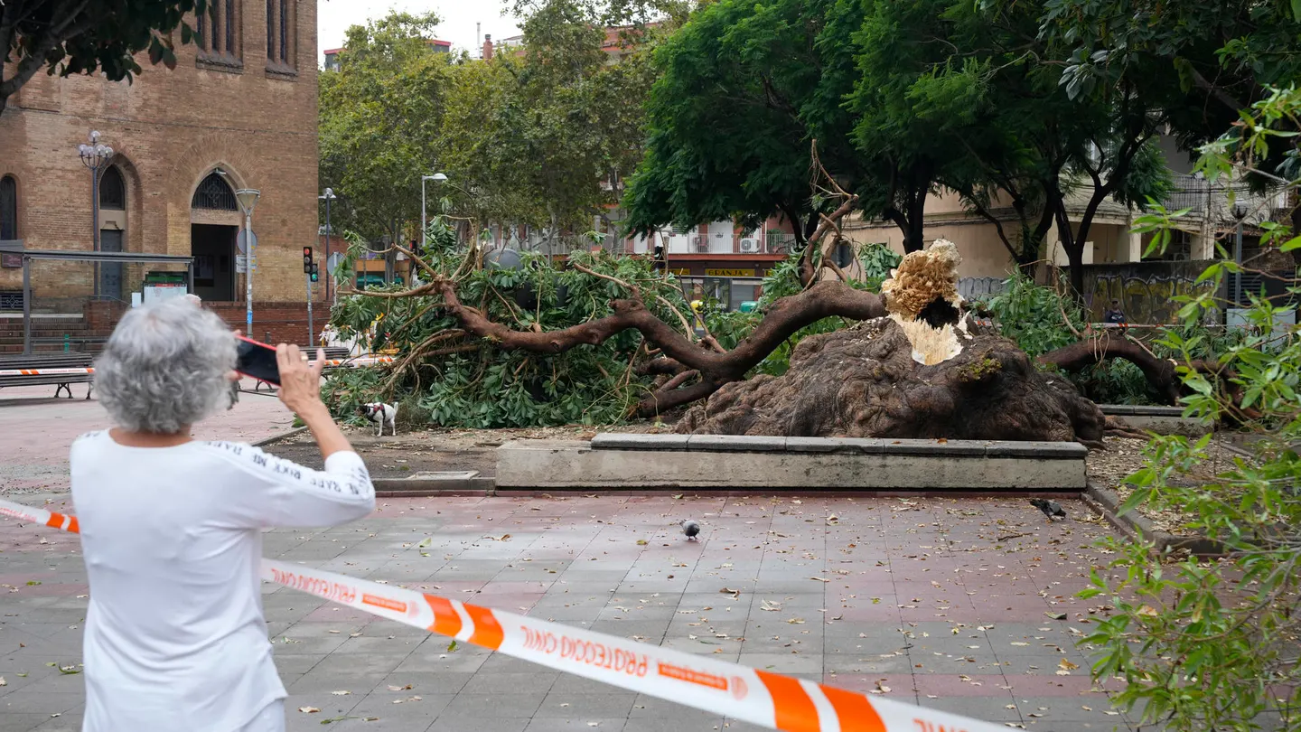 Efectos del temporal en Cataluña Efectos del temporal en Cataluña