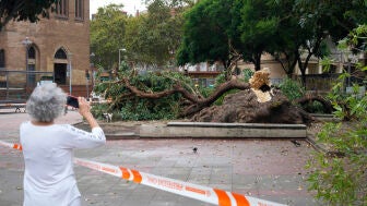 Efectos del temporal en Catalu&ntilde;a