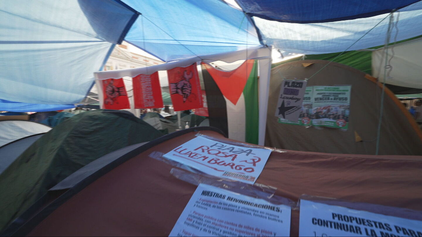 Movimiento propalestina en Sol