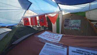 Movimiento propalestina en Sol