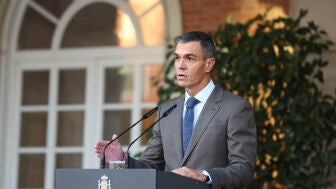 El presidente del Gobierno, Pedro S&aacute;nchez