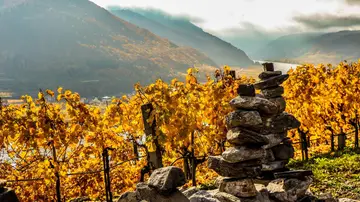 Wachau Wachau