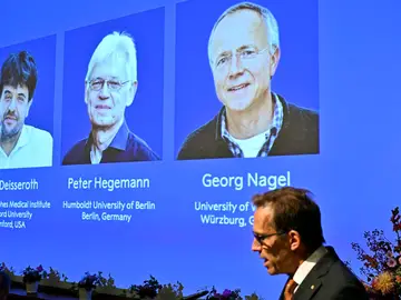 Ganadores del Premio Nobel de Medicina 2026 Ganadores del Premio Nobel de Medicina 2026