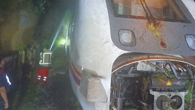 &aacute;rbol sobre el tren