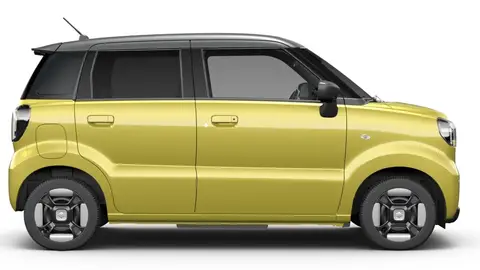 Suzuki e Sky Suzuki e Sky