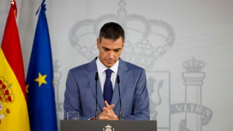 Imagen de archivo de Pedro S&aacute;nchez