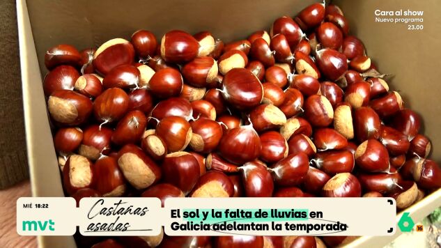 La falta de lluvias en septiembre, junto al calor y el sol han adelantado considerablemente la temporada de casta&ntilde;as, que desde hace unos d&iacute;as ya se pueden enviar a cualquier punto de Espa&ntilde;a desde algunas oficinas de Correos.