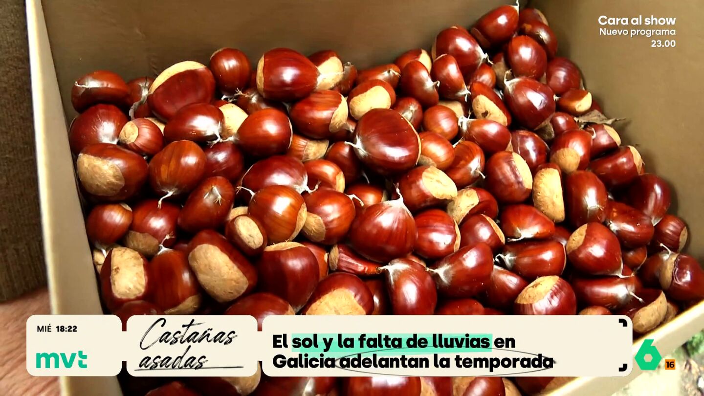La falta de lluvias en septiembre, junto al calor y el sol han adelantado considerablemente la temporada de casta&ntilde;as, que desde hace unos d&iacute;as ya se pueden enviar a cualquier punto de Espa&ntilde;a desde algunas oficinas de Correos.