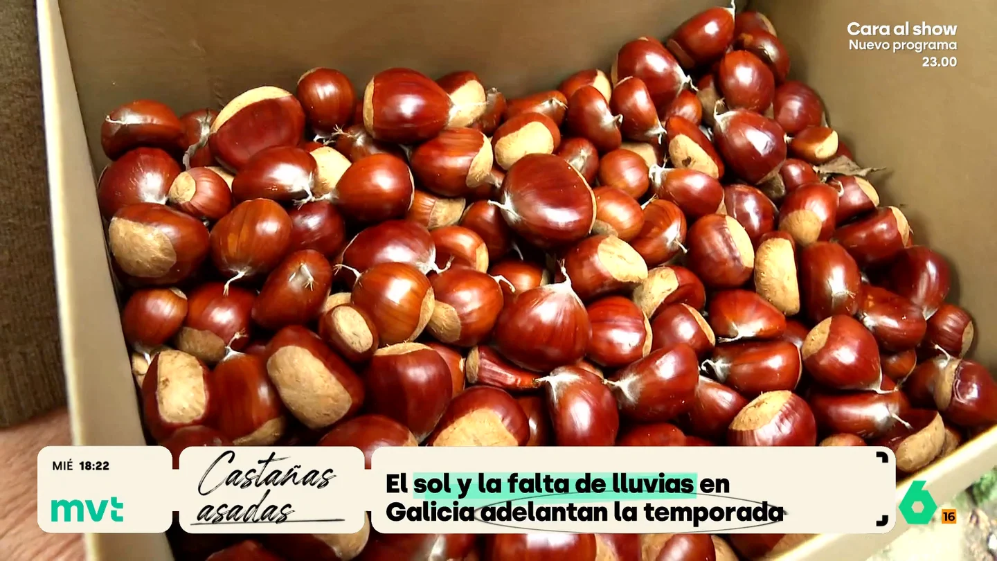 La temporada de castañas se adelanta este año: el sol, el calor y la falta de lluvias anticipa la cosecha La falta de lluvias en septiembre, junto al calor y el sol han adelantado considerablemente la temporada de castañas, que desde hace unos días ya se pueden enviar a cualquier punto de España desde algunas oficinas de Correos.