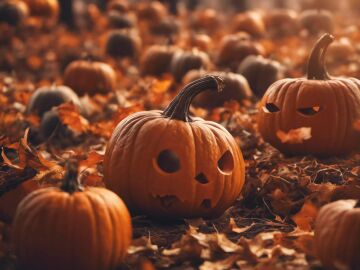 Calabazas. Halloween