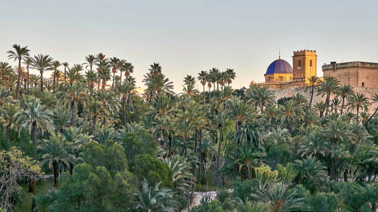 Elche, en Alicante