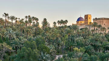 Elche, en Alicante