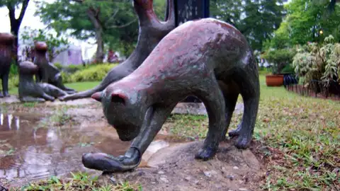Estatua de gatos en Kuching Estatua de gatos en Kuching