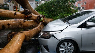 Destrozos provocados por el tif&oacute;n Champi en Taipei