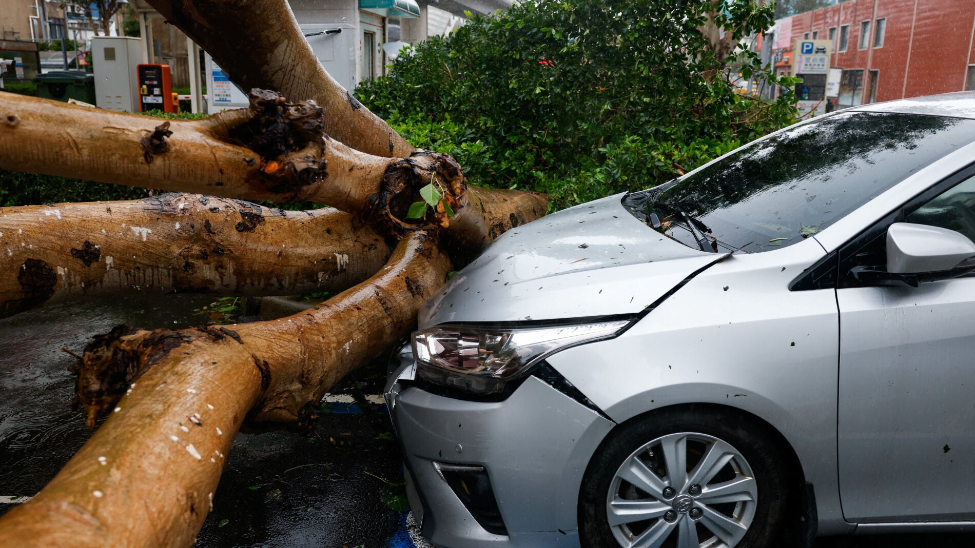 Typhoon Champi transforms into extratropical cyclone