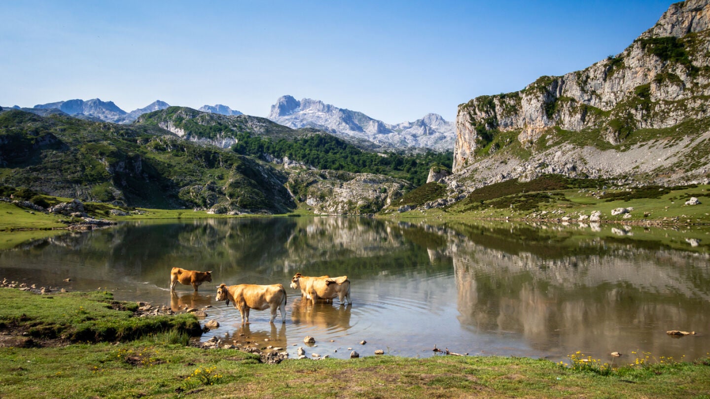 Lagos de Covadonga