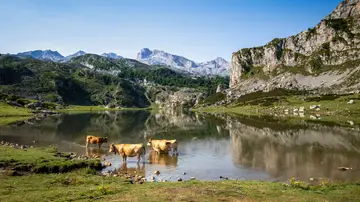 Lagos de Covadonga Lagos de Covadonga