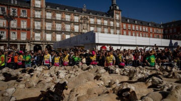 La Fiesta de la Trashumancia de Madrid