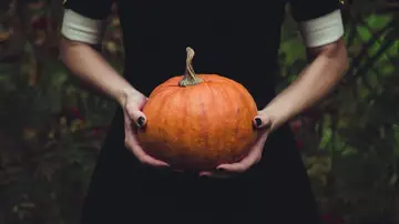 Calabaza. Halloween Calabaza. Halloween