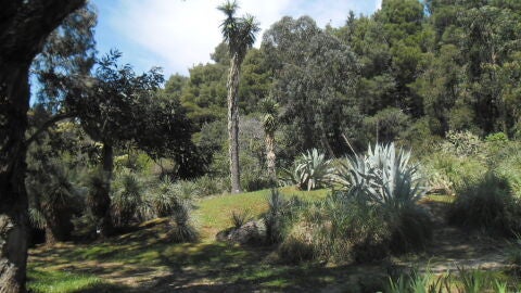 Jardín botánico de la isla de Lokrum