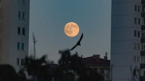 Luna del Cazador en Turquía Luna del Cazador en Turquía