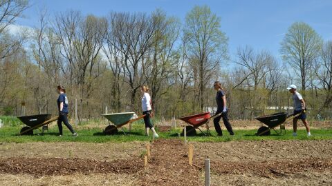 Voluntarios jardinería